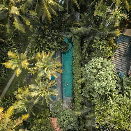 Dreamtime Hotel Hikkaduwa Exterior photo